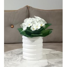 Vazo Dahil, Vazoda Çiçek, Beyaz Yapay Çiçek, Dekoratif Oval Çizgili Vazo 9x6x16cm Diğer