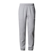 The North Face Kadın Sımple Dome Regular Tapered Jogger Pantolonnf0a8c1ydyx1 Gri