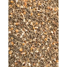 Mısır - Yumurta Yemi - Buğday - Arpa Karışımı 5-10-25 Kg