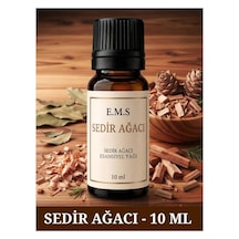 Sedir Ağacı