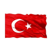 Diğer