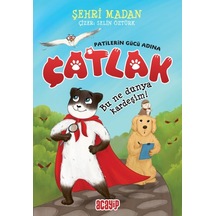 Bu Ne Dünya Kardeşim - Çatlak - Patilerin Gücü Adına