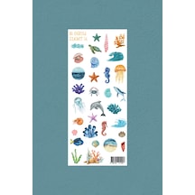 M34 Deniz Canlıları Temalı Sticker Seti Çok Renkli