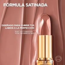Riche Bitişli Ruj - 540 Nude Unstoppable Abanoz