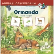 Ormanda Resimli Sözlüğüm / Dünyayı Öğreniyorum / Barbel Oftring