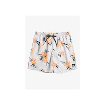 Quiksilver Eqyjv04002-wdw6 Mix 17 M Jamv Erkek Deniz Şortu 001