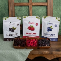 Fruvivo 3'lü Freeze Dry Paket - Böğürtlen + Ahududu + Yaban Mersini Orman Meyveleri - Dondurularak Kurutulmuş Meyve Cipsi Şeker İlavesiz %100 Doğal Vegan 60 G