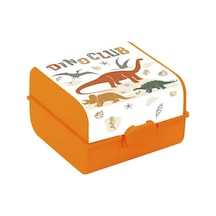 Dino Club Desen Beslenme Kutusu