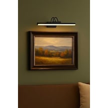 Siyah Kasa Led Flüt Resim Aplik 6w 3200k Gün Işığı 35cm Duvar Tipi Ayna/tablo Üstü Dekoratif Işık Ip20 İç Mekan Kullanım Abanoz