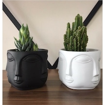 Bernami Vazo Pinterest Havelka Beton 2'li Mat Siyah Beyaz Saksı Diğer