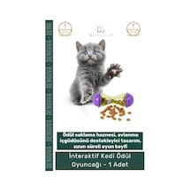 Kedioyuncağı İnteraktif Kedi Avlanma İçgüdüsü Destekleyici Dayanıklı Mor Yeşil Ödül Mamalı Oyuncak