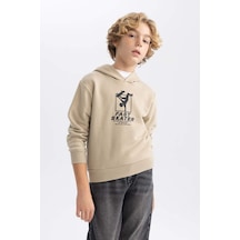 Defacto Erkek Çocuk Baskılı Kapüşonlu Kalın Sweatshirt B8998A823CWBG281 Çok Renkli