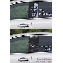 Farklı Tasarım Kapı Direk Folyo Sticker Etiket