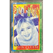 Plak Değildir Kaset Tir Pınar Aylin Güneşten Kaset
