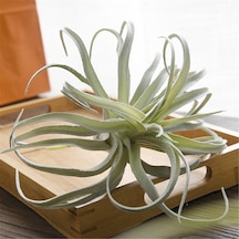 Qingmipy 3 Plastik Simülasyon Ananas Otu Yapay Bitki - Ev Ofis Düğün Dekorasyonu Masaüstü Saksı Bitkisi Yeşil