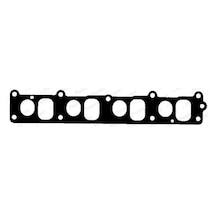 Manifold