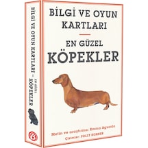 Bilgi ve Oyun Kartları En Güzel Köpekler