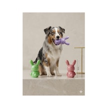 Sesli Ve Delikli Çaki Techno Tavşan Köpek Oyuncağı