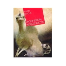 Ergenekon Mergenekon - İlhan Selçuk