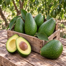 Avokado 12 Adet 250 Gr Üstü