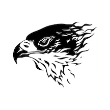 Siyah Kartal Oto Motor Laptop Duvar Folyo Sticker 80 X 56