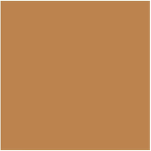 Synchro Skin Gelstick Concealer 303 Kapatıcı Çok Renkli