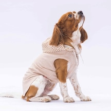 Pawstar Bej Gingham Kapşonlu Kedi Köpek Tişörtü Kedi Köpek Kıyafeti