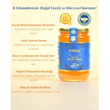 Organik Polifloralı Çiçek Balı 850 Gr