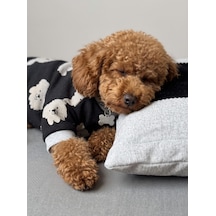Doggy Köpek Uyku Takımı Pamuklu Penye Köpek Tulumu Ve Mini Yastık Küçük Irklar İçin Tüy Dökülmesini Azaltır