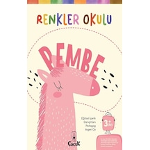 Renkler Okulu Pembe - Floki Yayınları - Kolektif