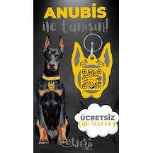 Petjoo 30.Anubis Gri-Sarı Qr'lı Köpek Künyesi