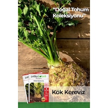 8.000 Adet Yerli Ata Kök Kereviz Tohumu