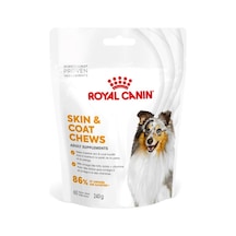 Royal Canin Yetişkin Köpekler İçin Deri Ve Tüy Sağlığını Destekleyen Tamamlayıcı Ödül Maması 240 Gr