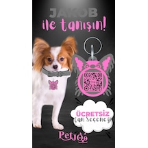 Petjoo 8.Jakob Pembe-Gri Qr'lı Köpek Künyesi