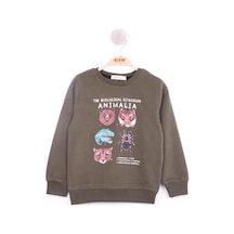 Toontoy Kids Toontoy Erkek Çocuk Relax Fit Bisiklet Yaka Animal Baskılı Sweatshirt - 2 İplik Haki