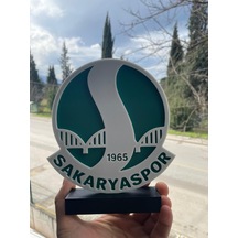 Sakaryaspor