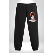 Angemiel Cavalier King Charles Spaniel 3 İplik Erkek Baskılı Siyah Eşofman Altı Siyah