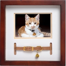 Köpek Kemikli Çerçeve 10x10 Cm Siyah 41111053