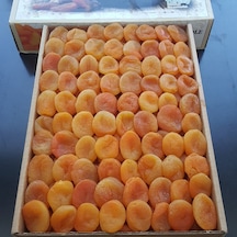 Toptan Lüks Sarı Kuru Kayısı 1 No 10kg 10 KG