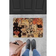 Evaşk Kapı Önü Paspası Vinil Kaymaz Tabanlı 45 X 70 Evaşkdm10113