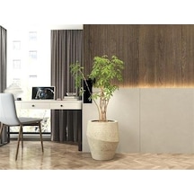 Nuano Consept Lilya Serisi Yuvarlak Saksı Koyu Gri 48x60