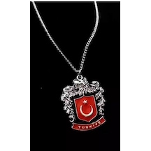 Bozkurt Logolu Türk Bayraklı 925 Ayar Gümüş Kaplama Kadın Erkek K Çok REnkli