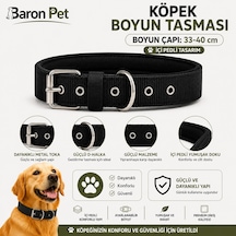 Pedli Köpek Boyun Tasması 33-40 Cm 2 Cm İçi Pedli Metal Tokalı D Halkalı - Siyah Çok Renkli