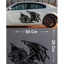 50X28 Cm