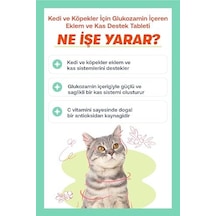 Biofeline Move+g Glucosamine Tablet Kedi Ve Köpekler İçin Eklem Ve Kas Desteği Biofeline Move+g Glucosamine Tablet Kedi Ve Köpekler İçin Eklem Ve Kas Desteği