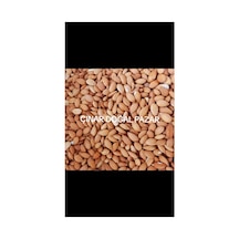 Kayısı Çekirdeği Tatlı 1 Kg Diğer