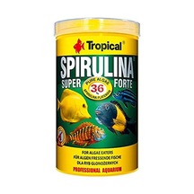 Tropical Super Spirulina Forte Pul Yem 100gr Kovadan Bölme