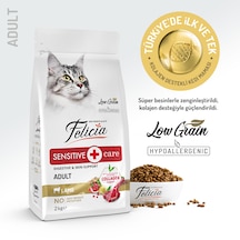 Felicia Hypoallergenic Düşük Tahıllı Kuzu Etli Yetişkin Kedi Maması 2 KG
