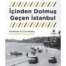 İçinden Dolmuş Geçen İstanbul