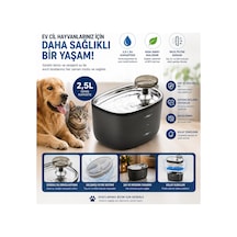 Tpd01 Kedi Köpek Su Pınarı Otomatik Filtreli Ultra Sessiz Su Çeşmesi Evcil Hayvanlar İçin Su Kabı